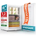Mini-Gefrierschrank mit Schloss E 42L, 4-Sterne, Leise, Gefrierbox, Weiß