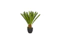 Kunstpflanze Kunstpflanze CYCAS Kunststoff, Stoff Palme, hjh OFFICE, Höhe 70.0 cm, Künstliche Zimmerpflanze im Kunststoff-Topf, Kunstpalme Cycaspalme
