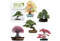 HappySeed Blumensamen Außergewöhnliche Bonsai Samen mit hoher Keimrate - 5er Set inkl. eBook, Bonsai