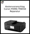 Kostenvoranschlag für Druckerreparatur - Canon PIXMA TR8550
