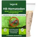 HB-Nematoden gegen Dickmaulrüssler und Engerlinge