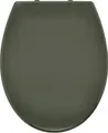 Ridder WC-Sitz Miami mit Soft-Close grau 02101107