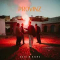 Provinz Zorn & Liebe (CD) (US IMPORT)