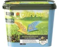 Rasensamen COMPO SAAT® Rasen - Neuanlage - 2 in 1 Mix, Samen und Dünger 2,2 kg f