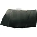 DIEDERICHS 1213100 Motorhaube