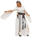 Leonardo Carbone® Damen Kleid Begina | Handstickerei | V-Ausschnitt | Karneval, Halloween, Cosplay, LARP, Mittelalter, Kostüm, Gewand, Festival, Event | 100% Baumwolle Natur XS