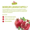 GranataPet Nassfutter Fasan & Geflügel getreidefrei Hundefutter 6x800g