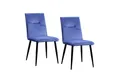 HTI-Living Esszimmerstuhl Stuhl Salinas Velvet 2er-Set (Set, 2 St), Esszimmerstuhl Samt