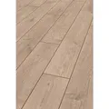 Jangal Laminatboden Oak State Park Line Pro Brill