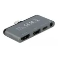Delock 87751 iPhone Dockingstation Apple Grau