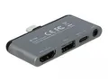Delock 87751 iPhone Dockingstation Apple Grau