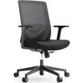 Yaasa Chair Lite Bürostuhl Ergonomisch, Schwarz – Traglast 120 kg – Lordosenstütze/Lendenverstärkung – 1D-Armlehnen – Anpassbare Rücken... - Schwarz