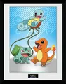 GBeye Collector Print - Pokemon Kanto Starters