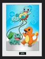 Pokemon Kanto Starter gerahmtes Bild Anime Manga Game Spiel Zocken Schiggy Merch
