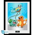 Pokémon - Kanto Starter - 30x40 Rahmenbild