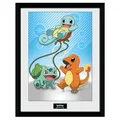 Pokemon Spitzenbild Mit Rahmen Framed Print Kanto Vorspeisen (30.5 x 40.6cm)