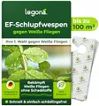 Legona EF-Schlupfwespen gegen Weiße Fliegen - 10 Träger für 100 m² - 3 Lieferungen für eine Akute Bekämpfung - Effektiv Gewächshausmottenschildläuse bekämpfen