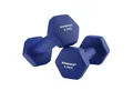 SONGMICS Kurzhantel Kurzhanteln, 2er Set, Krafttraining, zu Hause, Büro