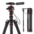 NEEWER BASICS Kamerastativ Einbeinstativ, 77" kompaktes, leichtes Reise DSLR Videostativ, 360°Kugelkopf Arca Typ Schnellwechselplatte umkehrbare Beine und umgekehrte Mittelachse, max. Last 13 lb, TP08