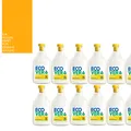 12x750ml ECOVER Weichspüler Gardenie & Vanille sanft&erfrischt 300WL vegan