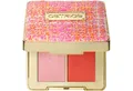 Catrice Rouge-Palette SPRING AND THE CITY EYE & CHEEK GLOW COMPLEX, für schimmernde Akzente