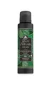 Tesori d'Oriente Parfum Deo Vetiver & Sandelholz Herren 48h Schutz 150ml