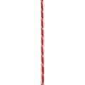 Edelrid Static Low Stretch 11.0mm Statikseil (Größe 100m, rot)