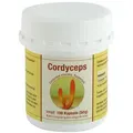 Cordyceps sinensis Kapseln