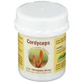 Cordyceps sinensis