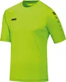 Trikot Team KA JAKO