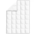vidaXL Daunenbettdecke, Winter-Daunendecke 155x220 cm