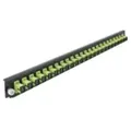 "DeLOCK - Rack-Montageblech für Glasfaser-Spleißbox - Vorderseite - SC MM X 24 - hellgrün - 1U - 48.3 cm (19\")"