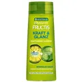 Garnier Fructis Kraft und Glanz mit Grapefruitextrakt Shampoo 250 ml 