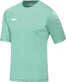 JAKO Trikot Team KA minze minze 116