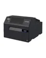 Epson ColorWorks D6500 dye ink Cutter Disp. USB Ethernet schwarz Etiketten-/Labeldrucker Tintenstrahldruck Farbig (C31CL91102)