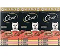 CESAR Klassik-Terrine Mega Pack - 24 x 150 g (€ 8,03/kg) 4 Varietäten in Schalen