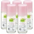 dm-drogerie markt GmbH & Co. KG Deo-Roller Invisible - alverde, 5-tlg., Deodorant, alverde Naturkosmetik