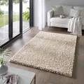 Taracarpet Shaggy Teppich Wohnzimmer Venezia Hochflor Langflor Teppiche modern Beige 300x400 cm