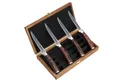 Wakoli Steakmesser EDIB 4er Set Damast Steakmesser 12,5 cm Klingen Geschenk-Holzbox (4 Stück), aus 67 Lagen Damaststahl, VG-10 Kern