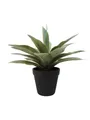 Kunstpflanze Künstliche Sukkulente Agave Desiree, grün, 20cm, Ø 25cm Agave (Drachenbaum-Agave), artplants, Höhe 20.0 cm