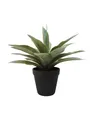 artplants Künstliche Sukkulente Agave Desiree, grün, 20cm, Ø 25cm