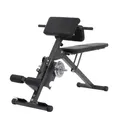 Ab&Back Trainer | Bauch- & Rückentrainer | Multifunktionsgerät | Klappbar, Fitnessgerät, Rumpftraining FINNLO 3869