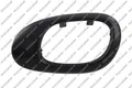PRASCO Türgriff PG0098702 vorne links, Kompatibel mit: PEUGEOT 206 CC, 206 Schrägheck, 206 Stufenheck, 206 SW