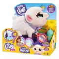 630996264768 Little Live Pets. Owieczka Cobi