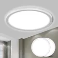 LQWELL® Deckenleuchte LED Deckenlampe, 1,6CM Ultradünn Rund Flach IP44 Wasserfest Badlampe 18W 6500K 1700LM Modern für Wohnzimmer Badezimmer Schlafzimmer Küche Balkon Keller Büro, 220 * 16mm