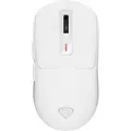 Genesis kabellose Maus 26000 DPI beidhändig Bluetooth USB Typ C weiß - Weiß