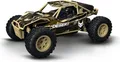 RC 2,4GHz Desert Racer