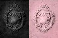Kill This Love -CD+Book-