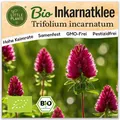Inkarnatklee Samen (BIO) - 1200 Samen Blumensamen Inkarnatkleesamen Kleesamen