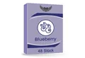 Lovelyness Kondome - mit Geschmack Aroma: Blaubeere